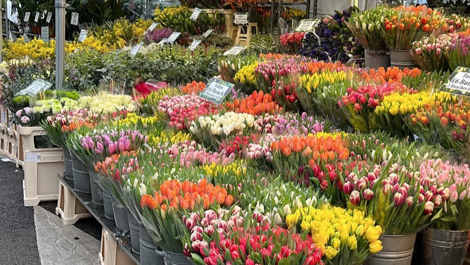 Columbia Road Flower Market