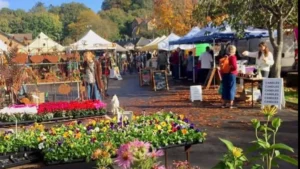 Frome Market